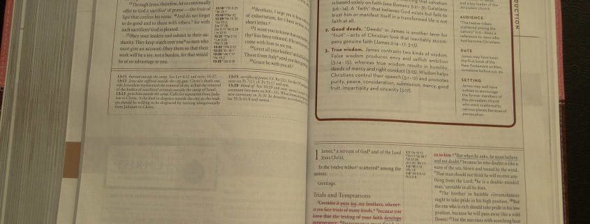 Jesus Gospel Devotional